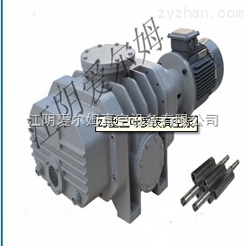 ZJ型三葉羅茨真空泵
