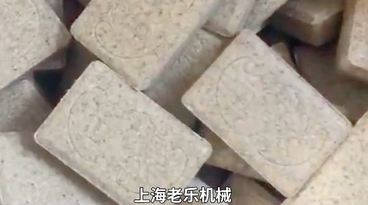 ZPD-15E 大片 厚片旋轉(zhuǎn)式壓片機(jī)