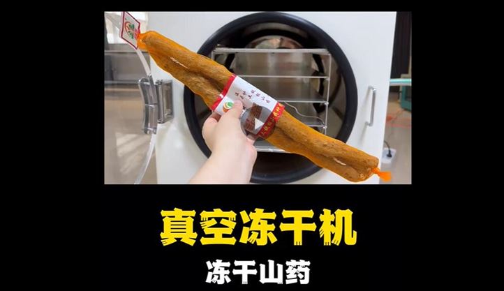 真空冻干机冻干山药