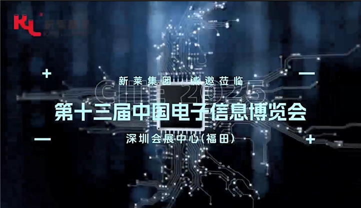 新萊集團(tuán)-第十三屆中國(guó)電子信息博覽會(huì)現(xiàn)場(chǎng)