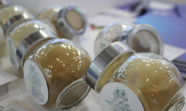 20余種研究性抗體治療藥物或于2026年底前提交頭次上市申請，其中5種用于癌癥