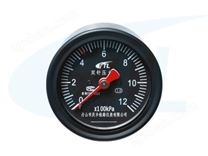 YTS-80Z雙針壓力表