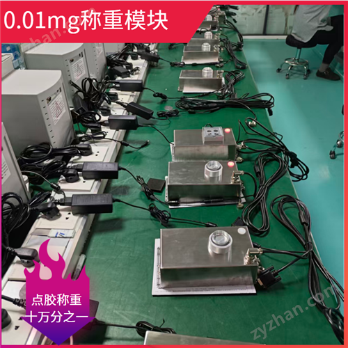 0.01mg����ģ��