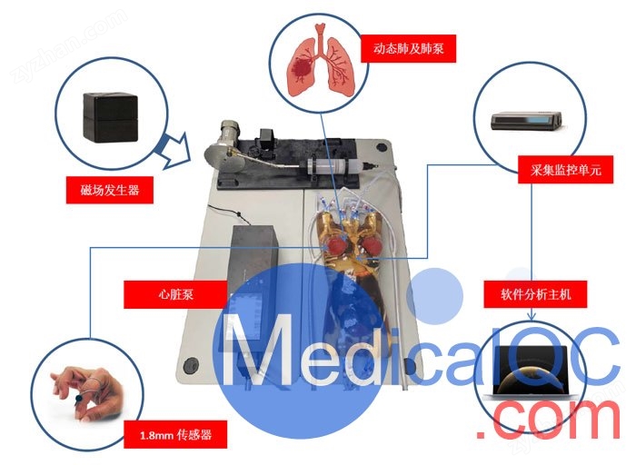 WEK-RLFMA02呼吸运动模体